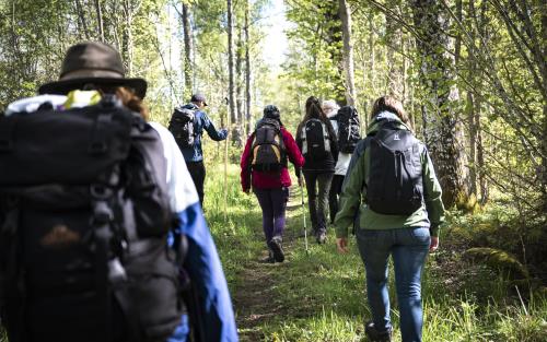 En grupp människor går på vandring