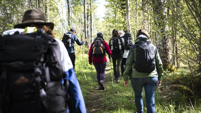 En grupp människor går på vandring