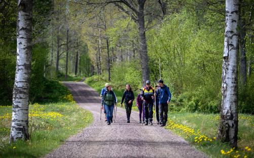 En grupp människor går på vandring