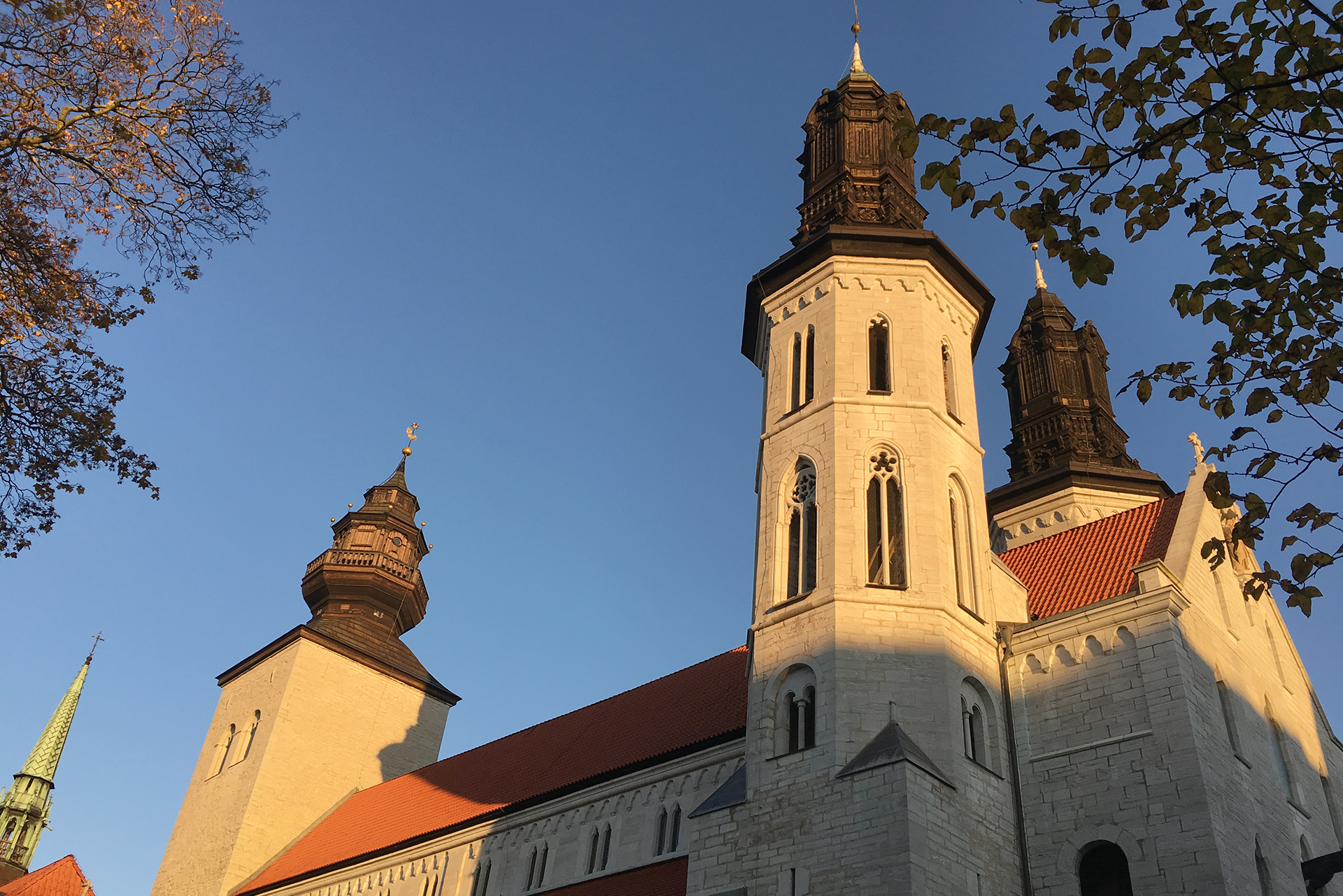 Höstmorgon vid domkyrkan