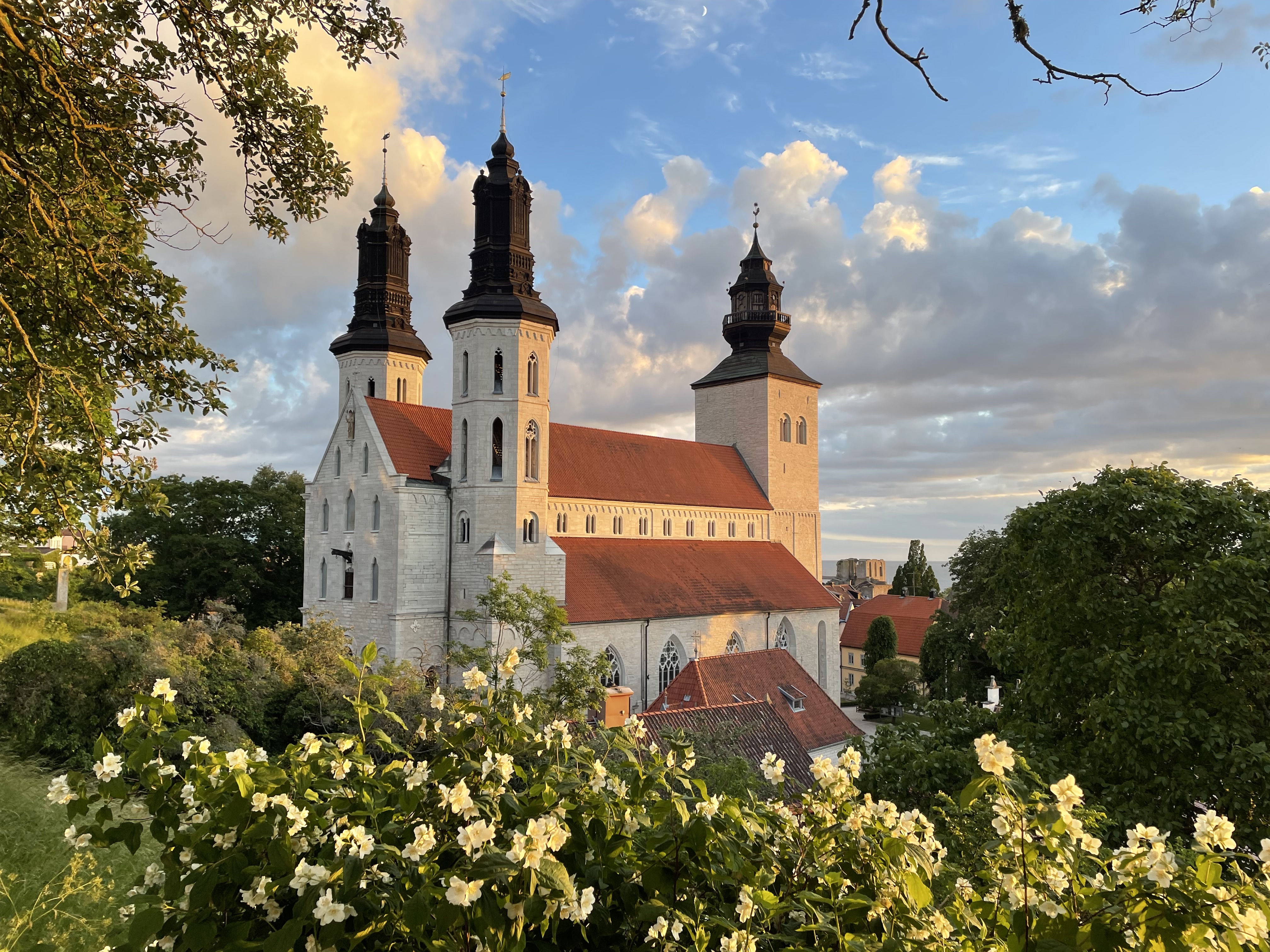 Domkyrkan Sankta Maria i kvällssol.