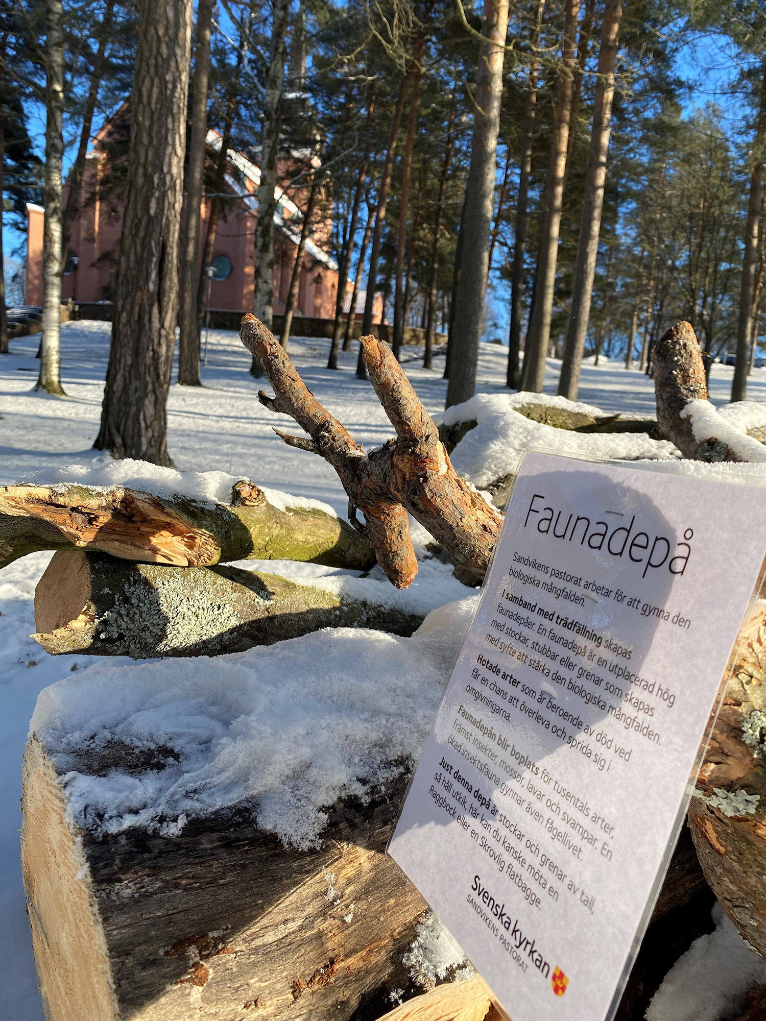 Faunadepå i kyrkparken vid Sandvikens kyrka.