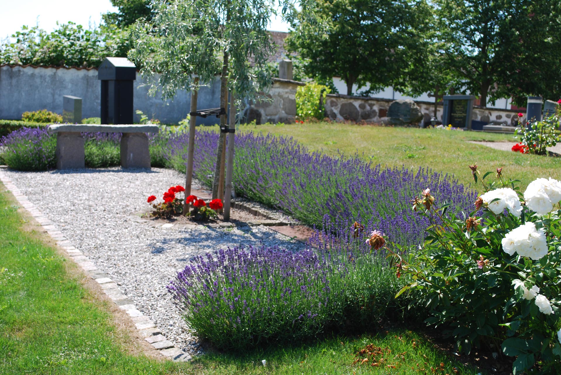 Askgravplatsen Östra Ingelstads kyrkogård kantat av Lavendelhäck.