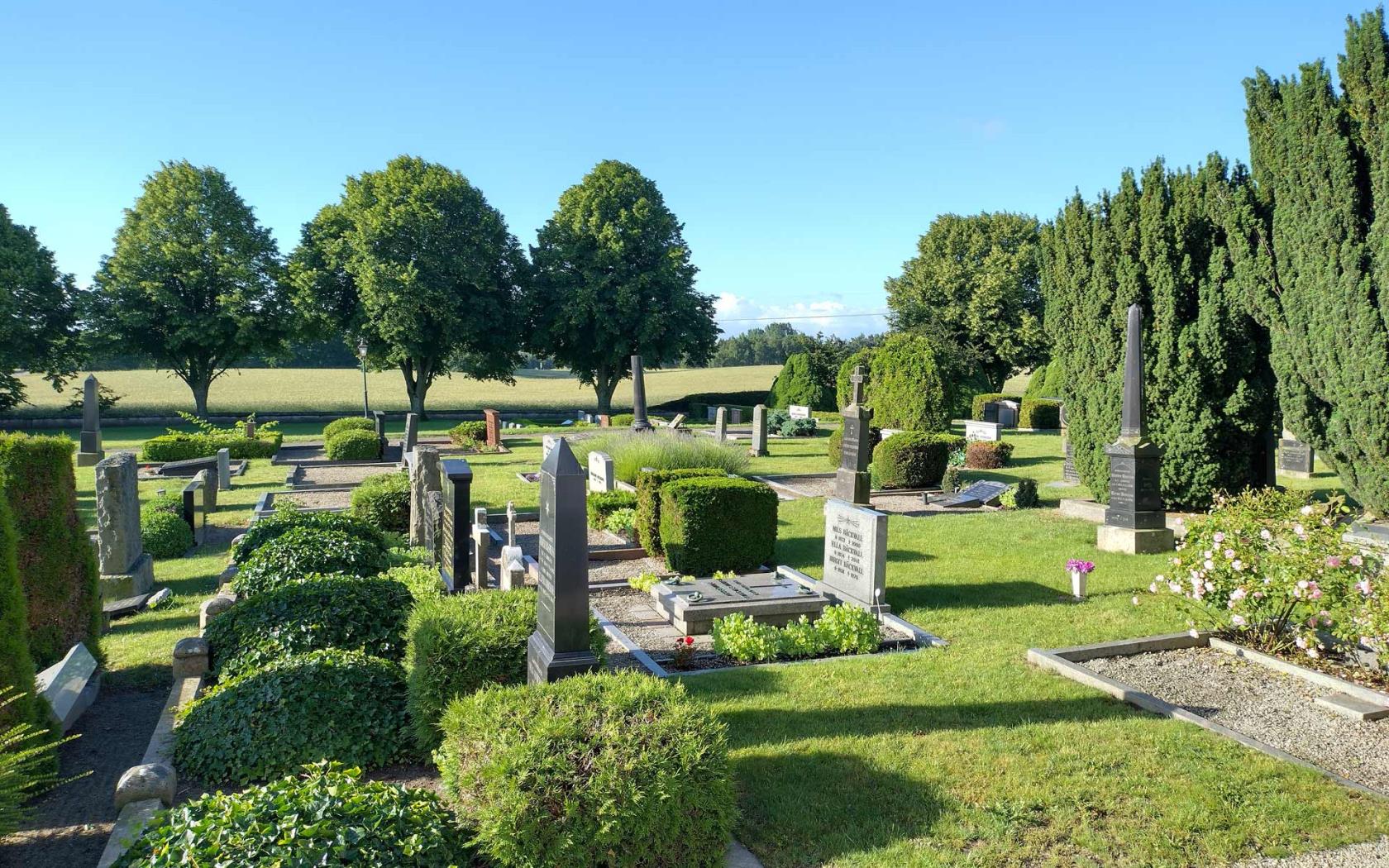 Vy mot söder med gravstenar i rad med mycket med gröna buskar.