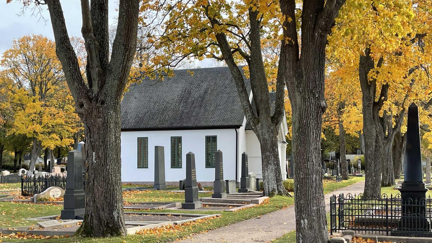 En vit byggnad med höga fönster syns mellan två trädstammar.