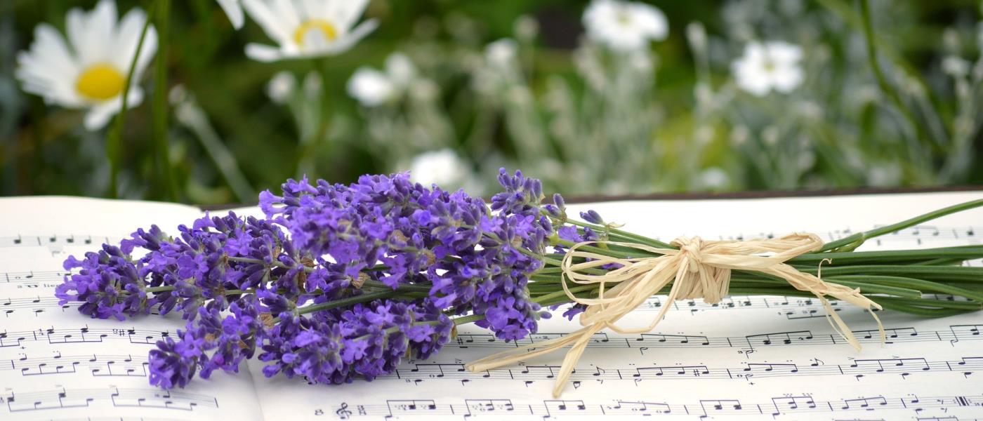 En liten bukett med lila sommarblommor som ligger ovanpå en uppslagen bok med noter.