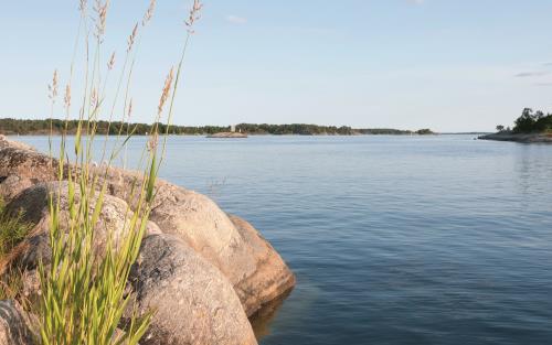 Stenar, vass och sjö