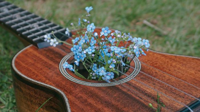 Blommor och gitarr