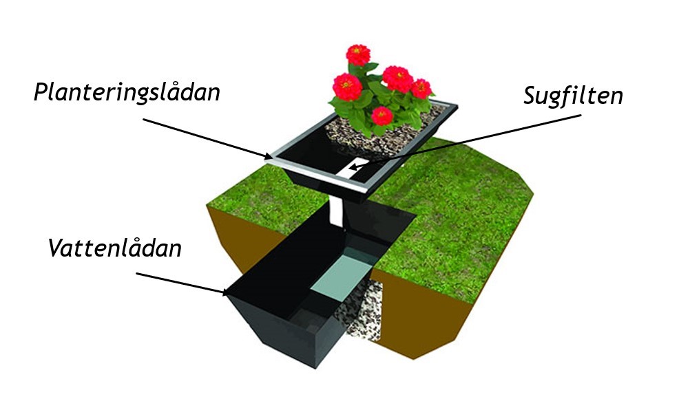 Bilden visar den särskilda planteringslåda vi planterar blommor i på våra kyrkogårdar. Den har en sugfilt och en vattenbehållare som hjälper planteringarna att hålla sig vackra länge. 