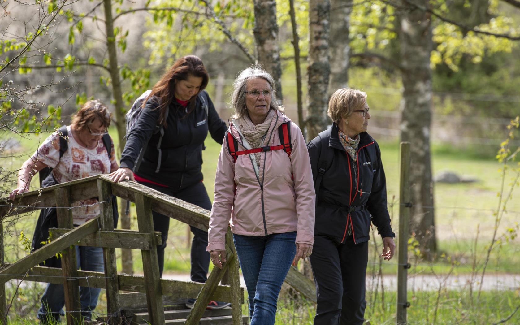 Fyra personer promenerar