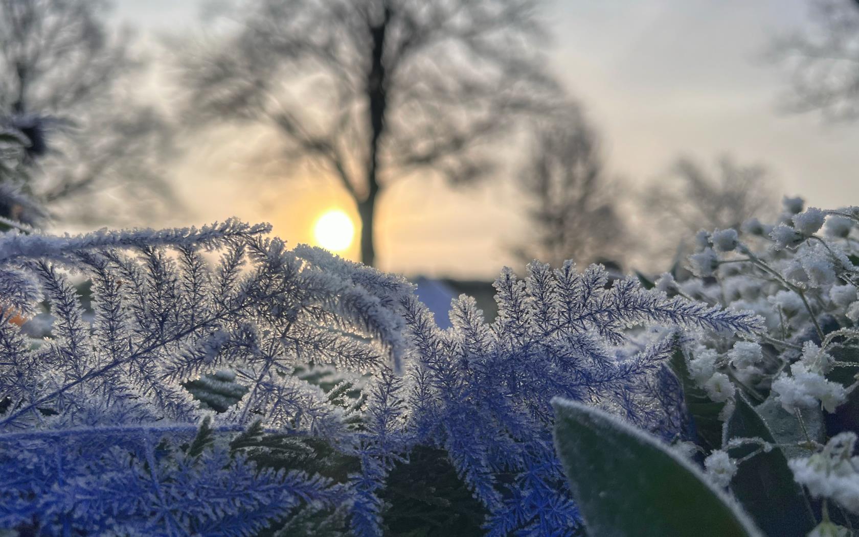 Frostmorgon från Knutby kyrkogård