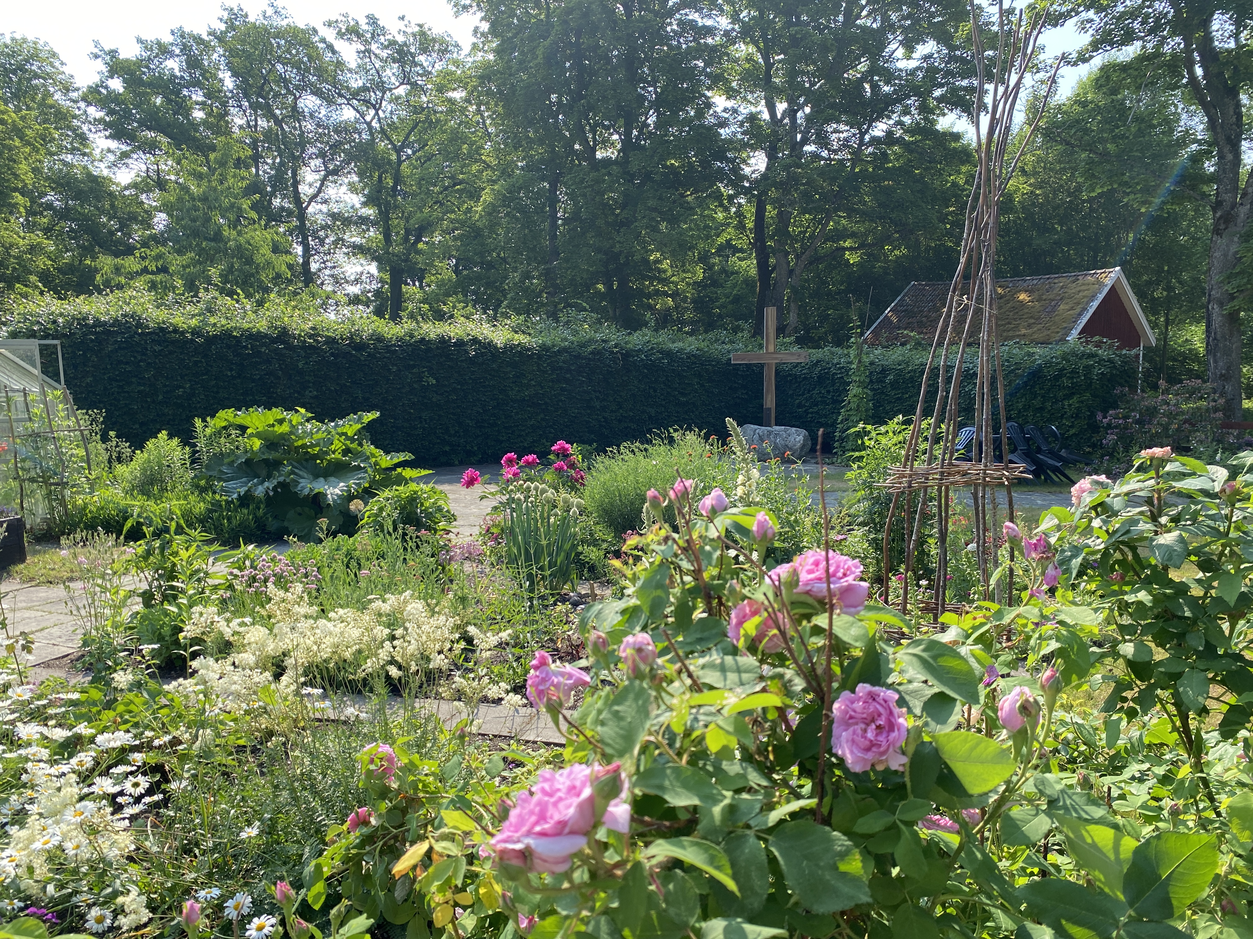 Vackra blommor i Mariaträdgården