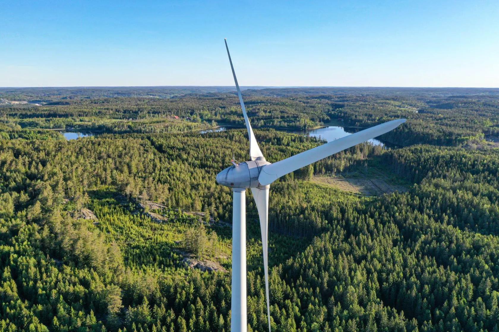 Ett stort vindkraftverks vingar över en granskog.