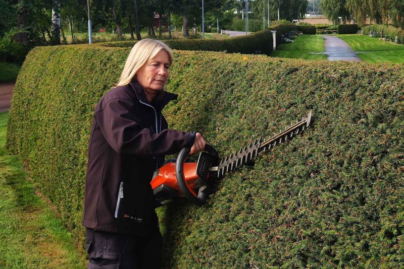 Närbild på Lena när hon klipper granhäck