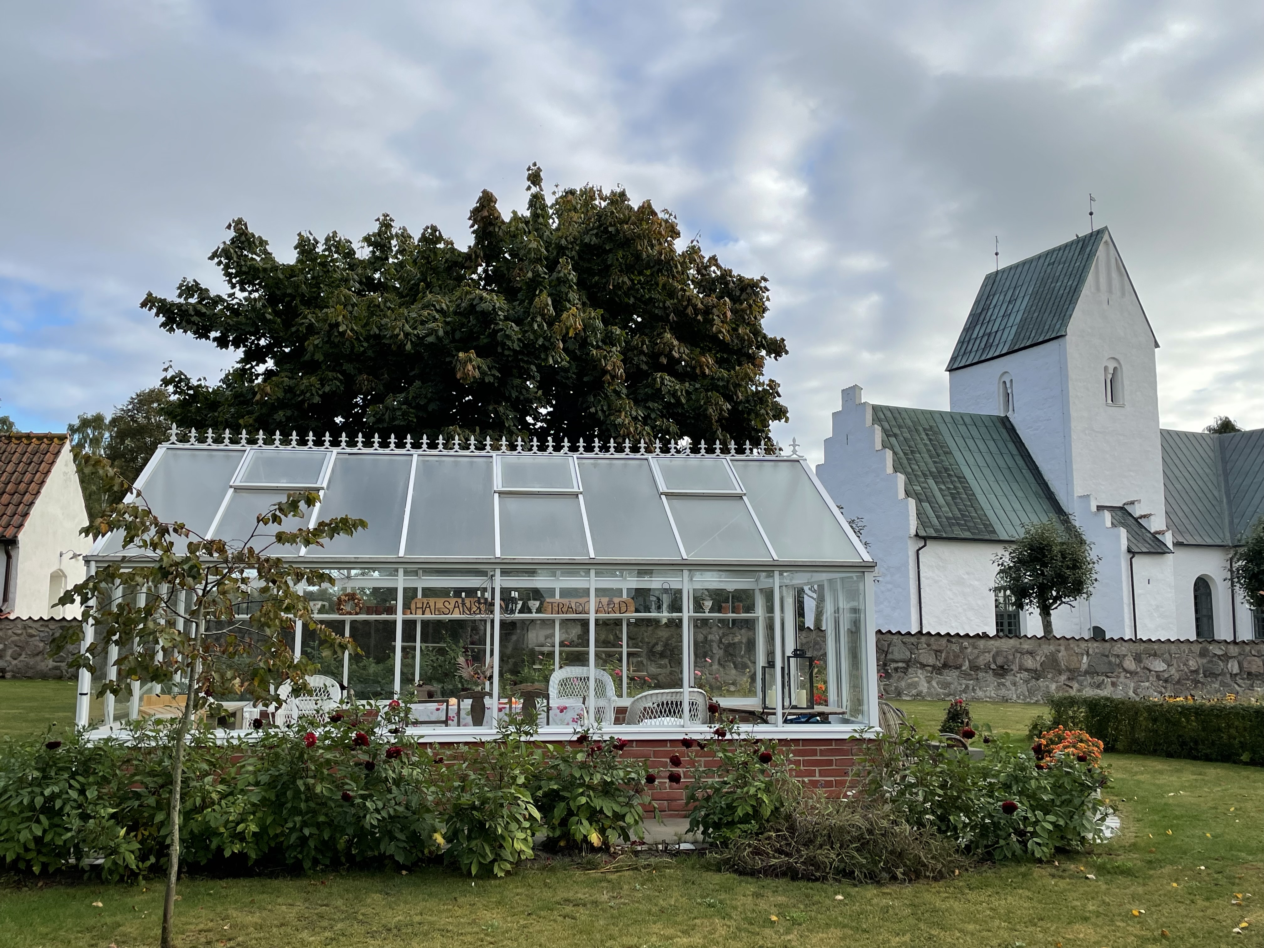 Växthus omgärdat av plantering och Köpinge kyrka i bakgrunden.