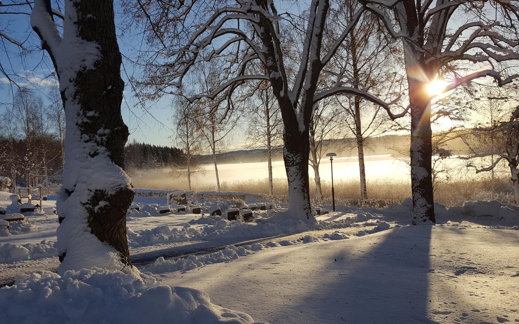 Kyrkogård vintertid