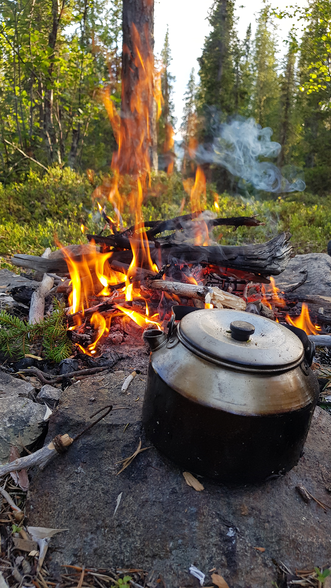 Kaffepanna vid en öppen eld i skogen. 