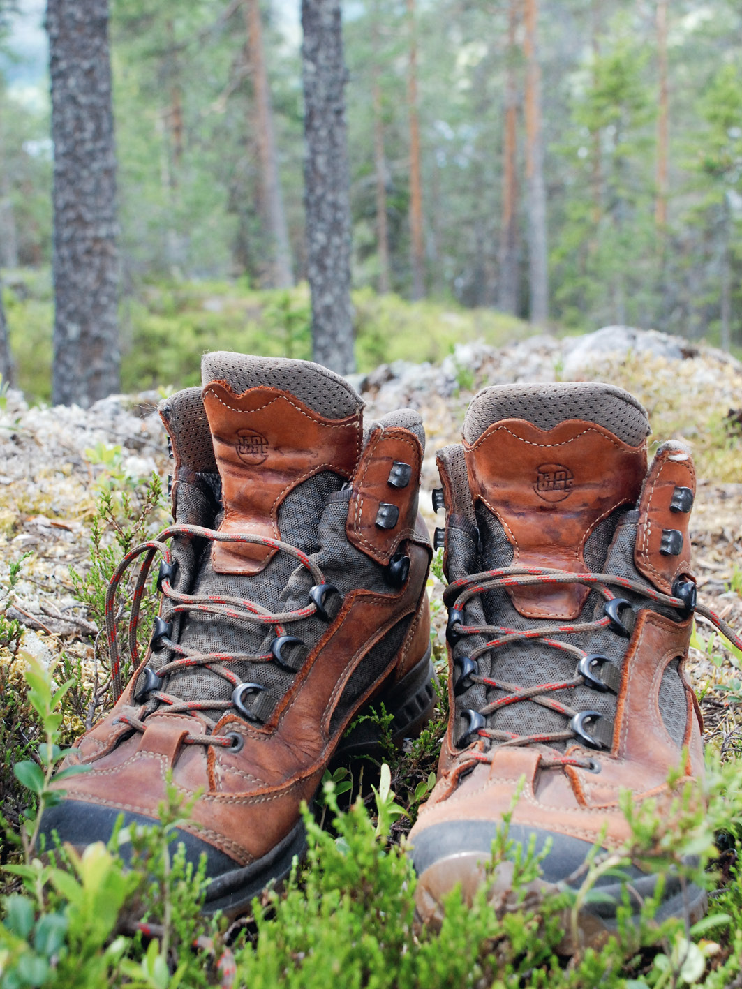 Kängor i skog.