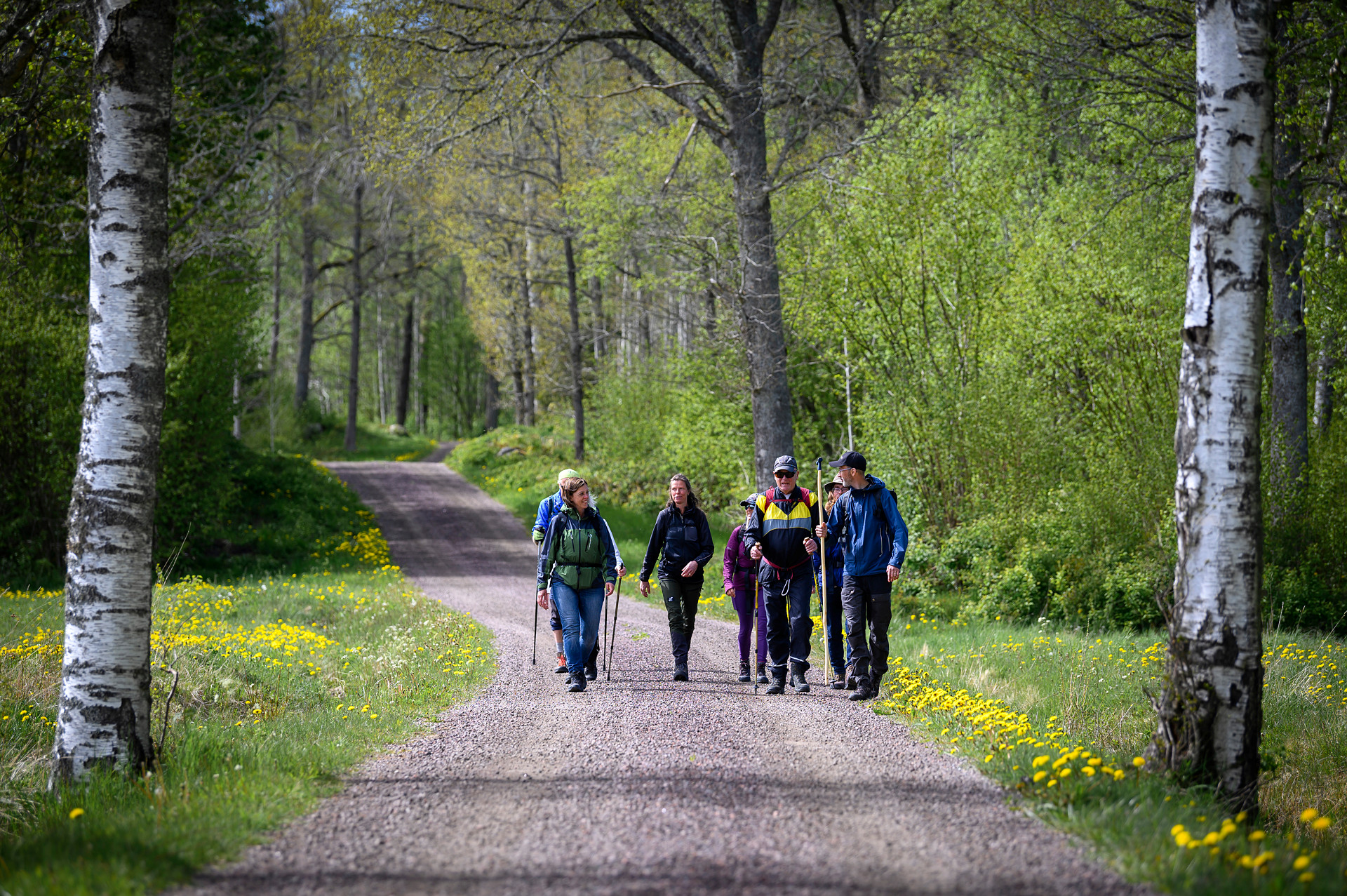 En grupp människor går på en väg. 