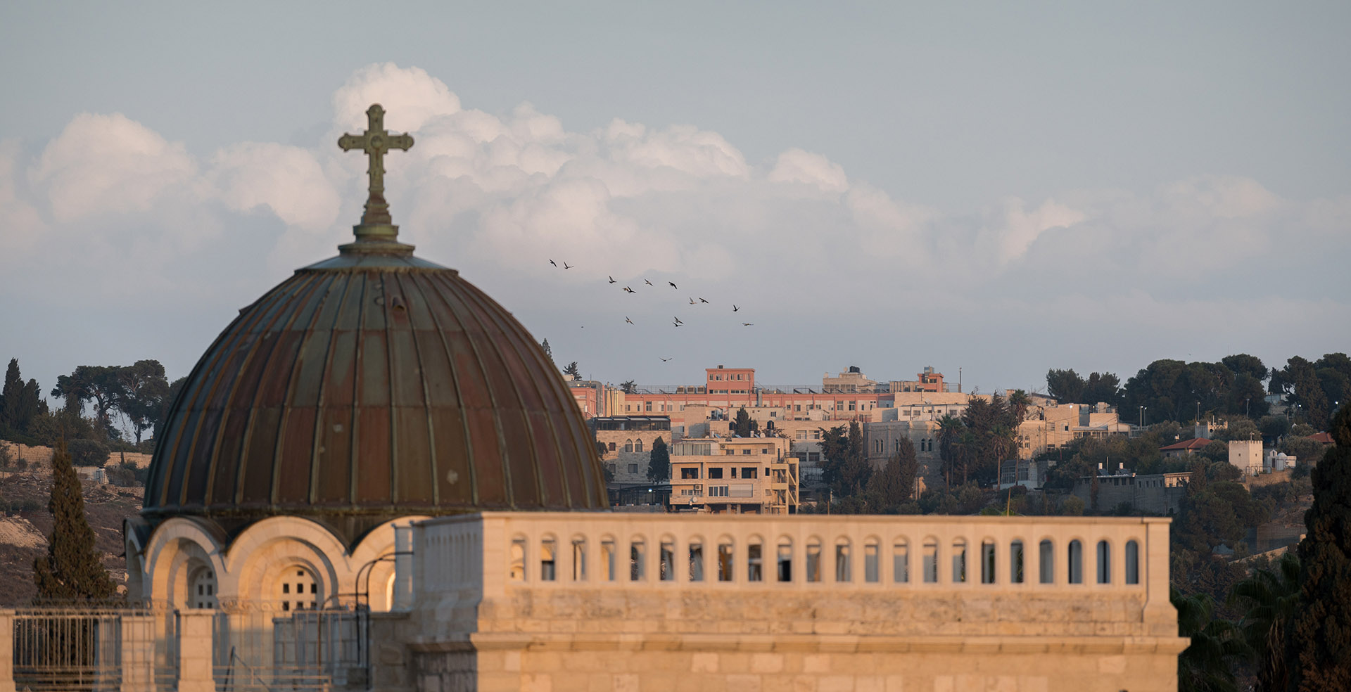 An flock fåglar flyger över Jerusalem.