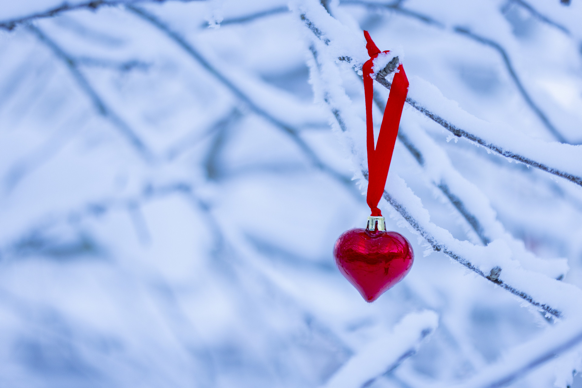 Röd julgransprydnad i form av hjärta på snötyngd gren