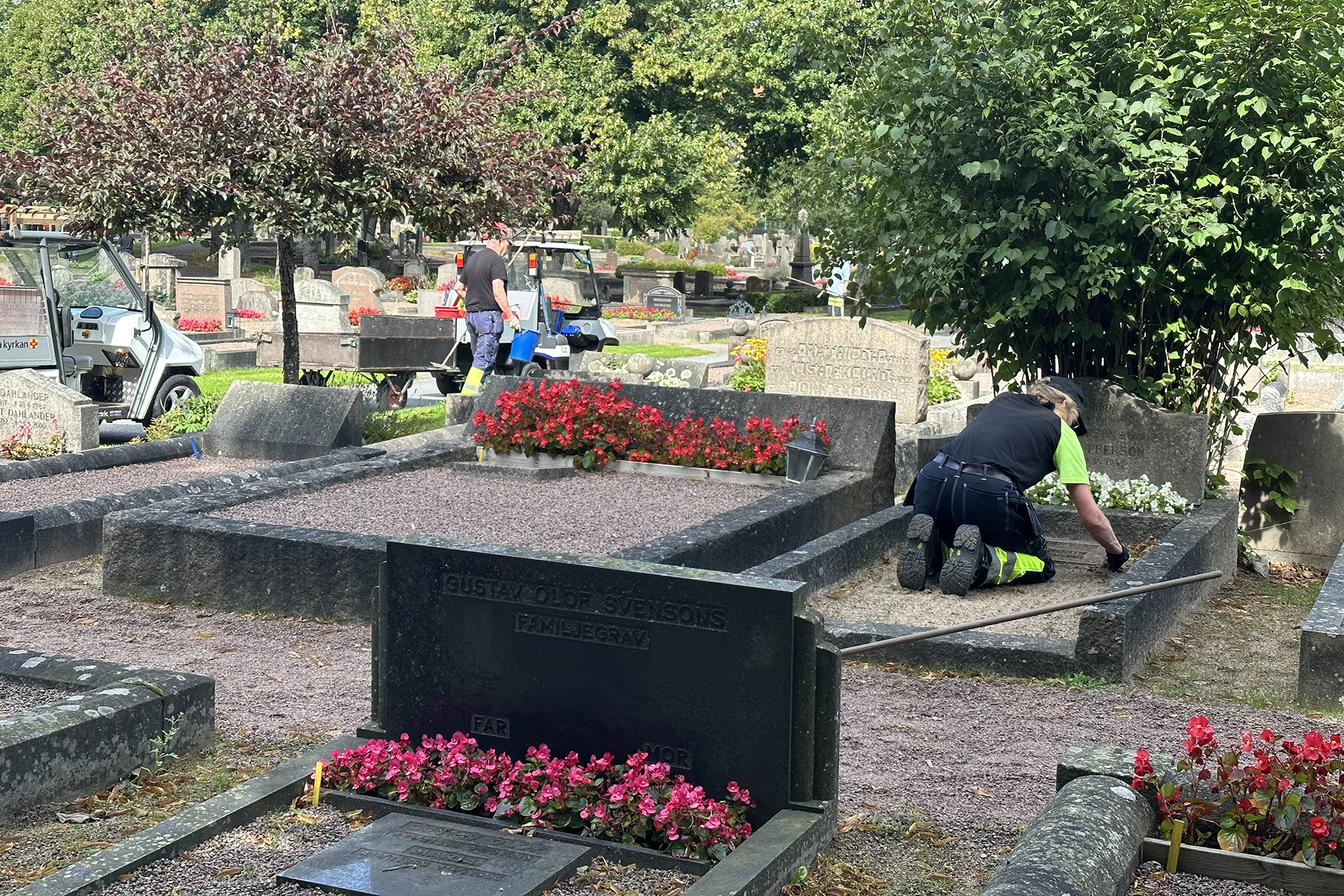 Personer i arbetskläder på begravningsplats med gravstenar, gravplanteringar och träd.