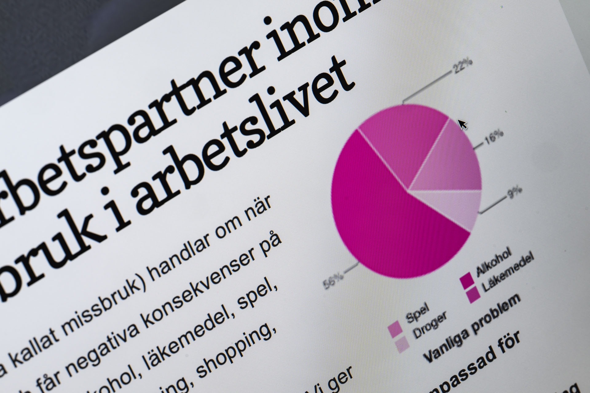 detaljbild av pajdiagram från Alnas hemsida