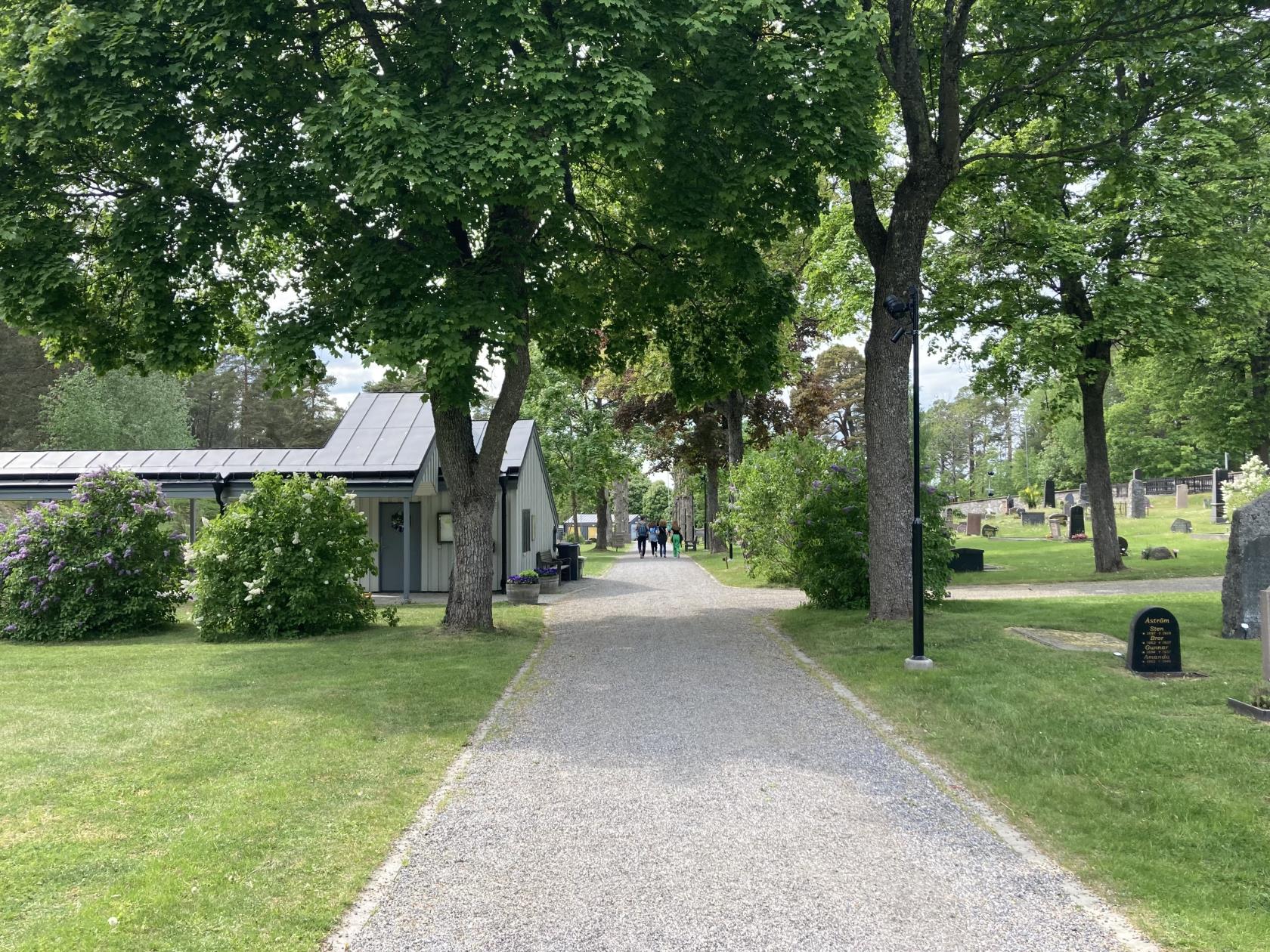 Allé på Vaxholms kyrkogård. Personer går på allén.