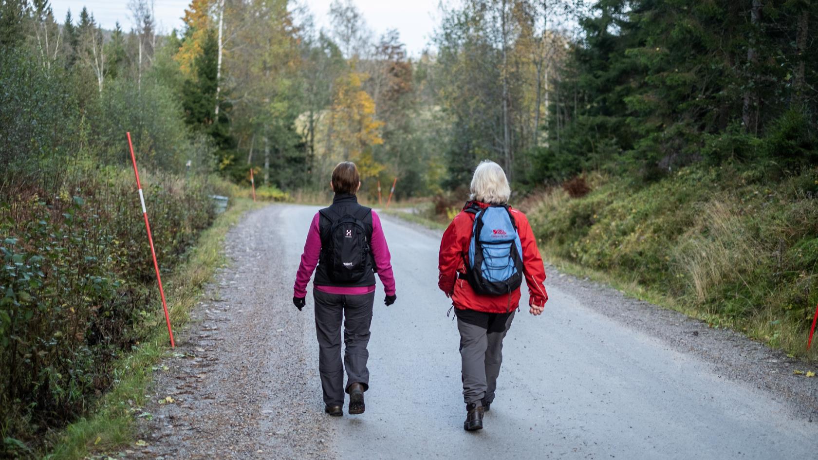 Bilden visar två personer med ryggsäckar som är ute och går.