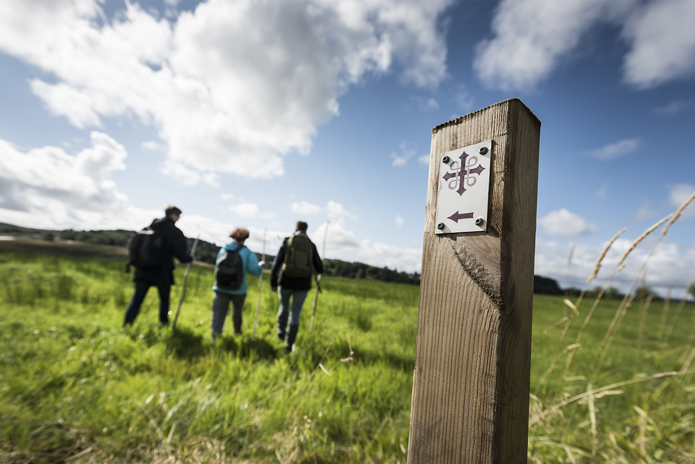 Vandrare längs Sankt Olavsleden