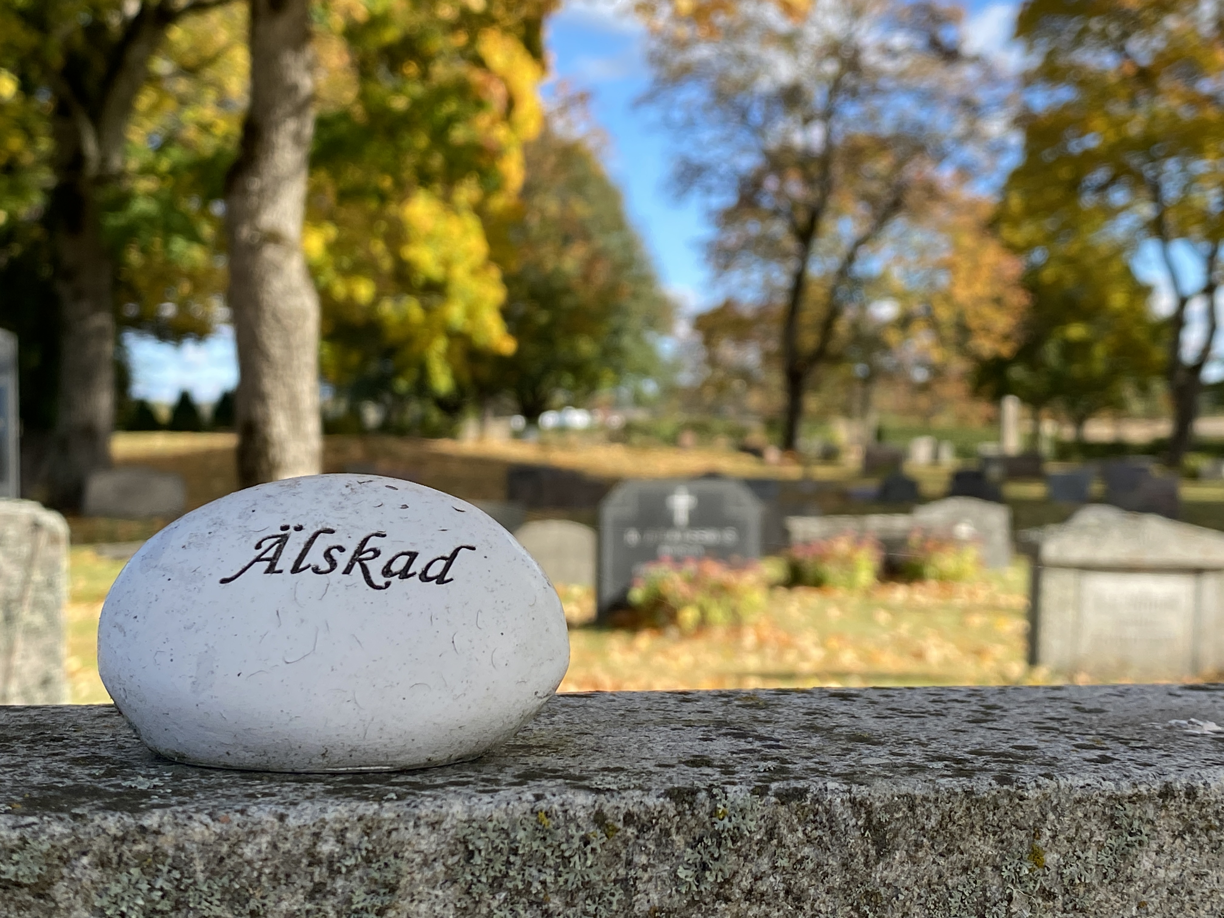 En rund liten sten med texten Älskad med höstträd och gravstenar i bakgrunden.