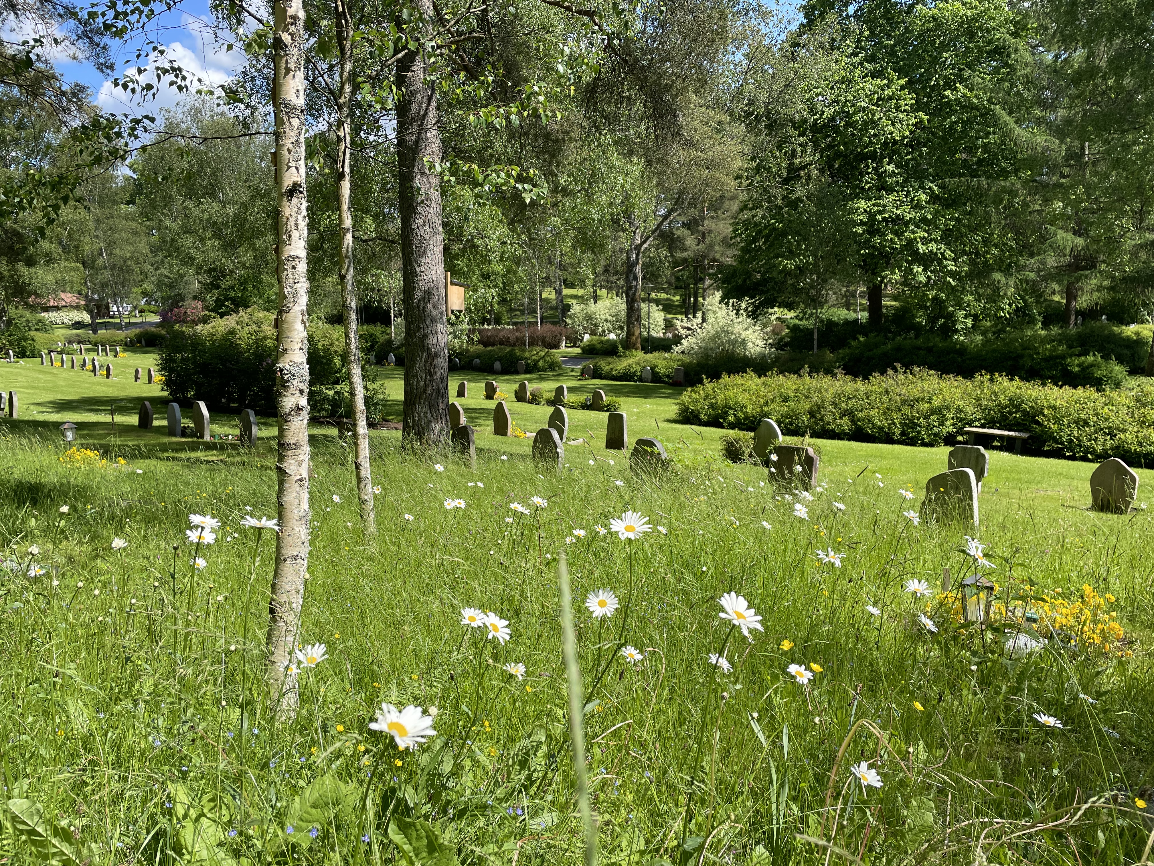 Att Välja Gravplats - Svenska Kyrkan I Borås