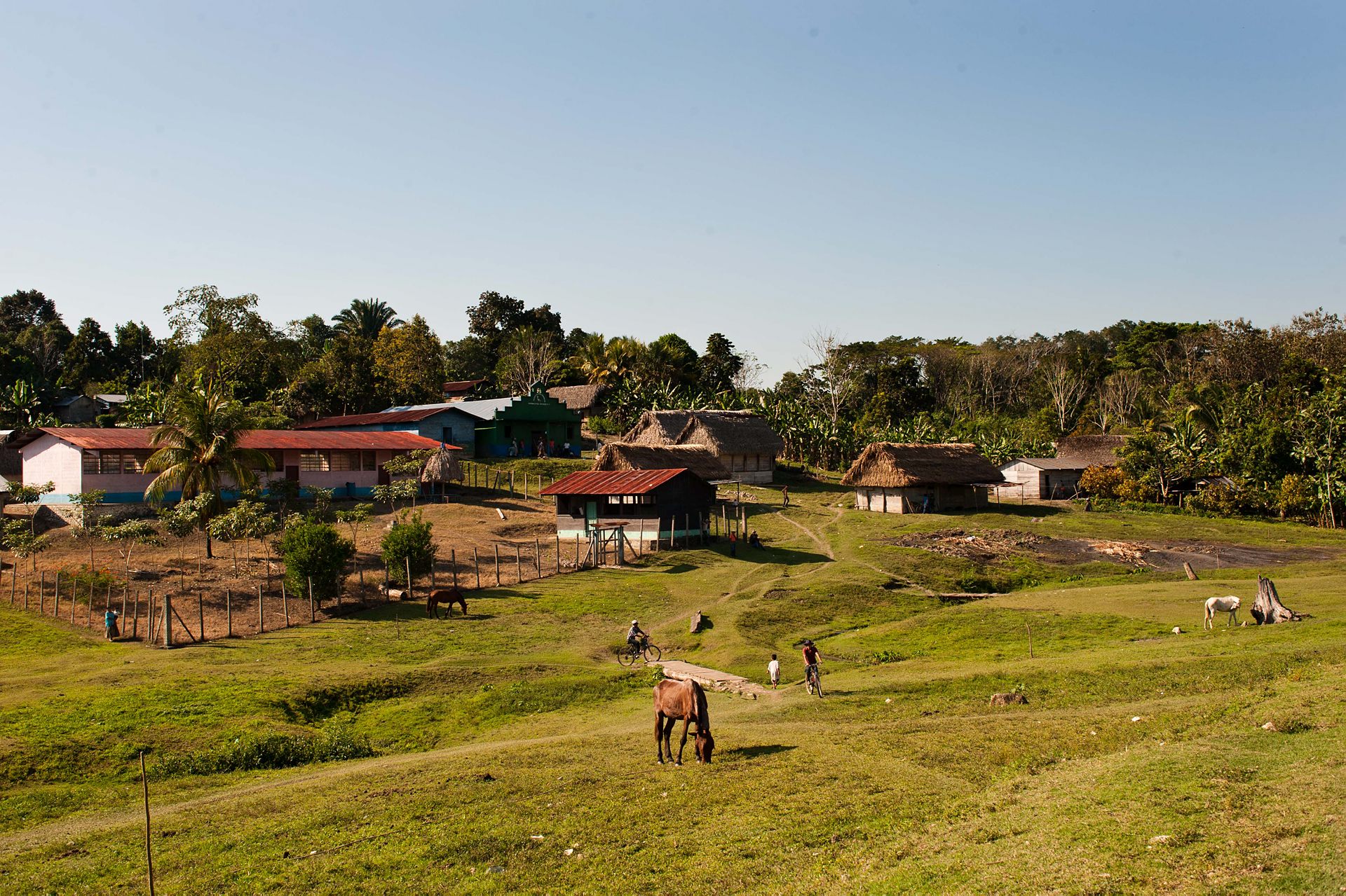 By i Guatemala. Hus i bakgrunden och gröna ytor med betande djur.