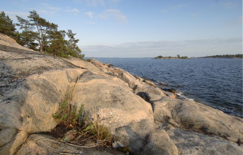 Stenklippor med växter vid havskust