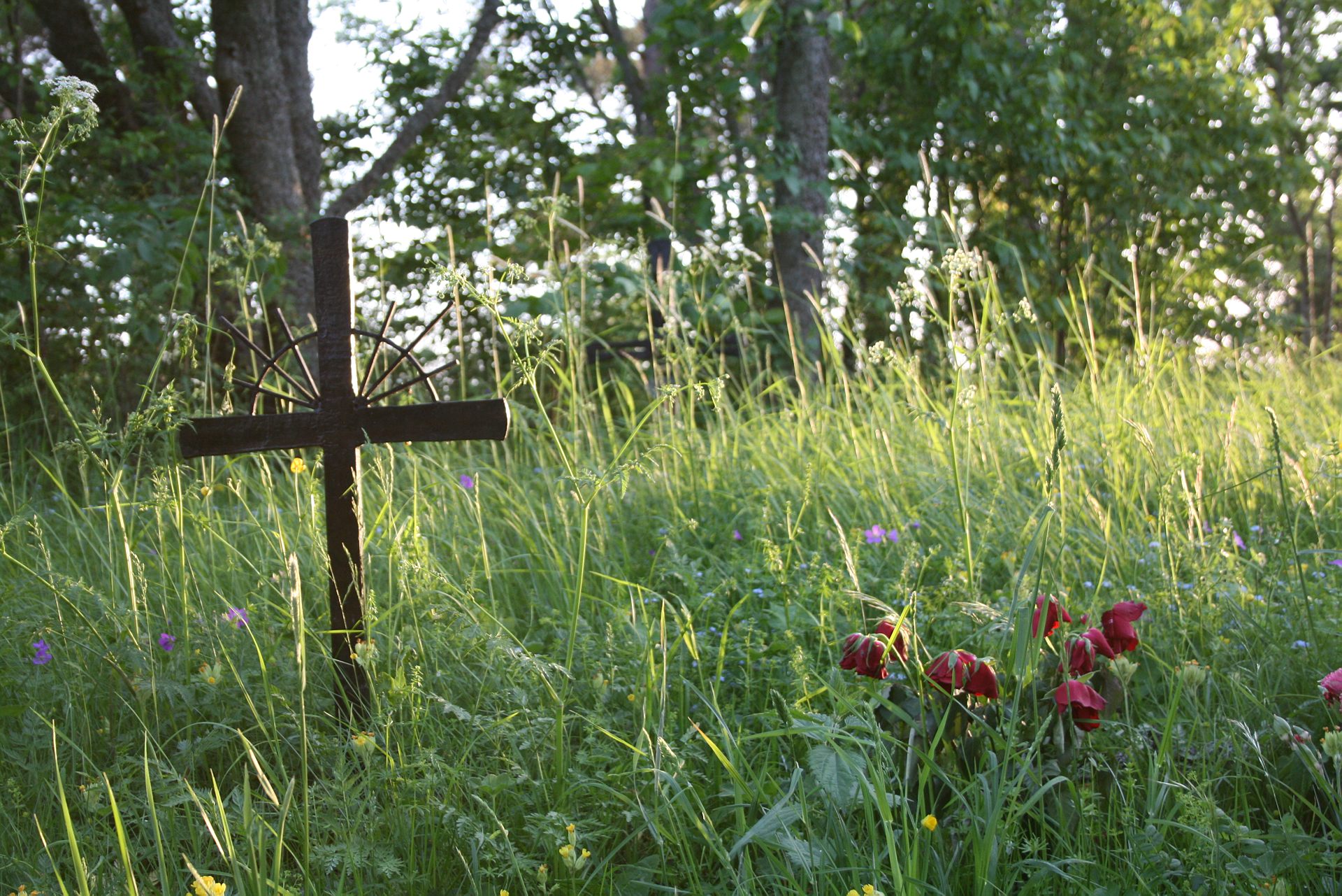 Återlämna Gravplats - Svenska Kyrkan, Märsta Pastorat