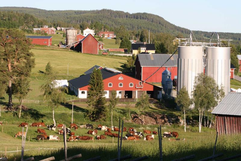 Öppna landskap i Offerdal