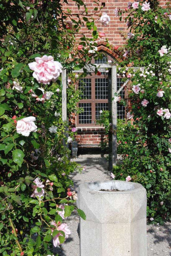 Mitt bland de blommande rosorna i Klosterträdgården står en vattenfunt.