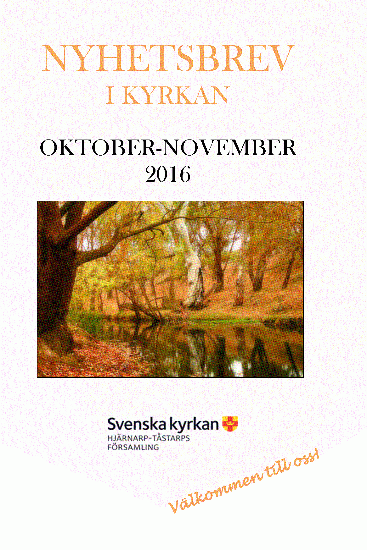 Nyhetsbrev okt-nov 2016 som bilder