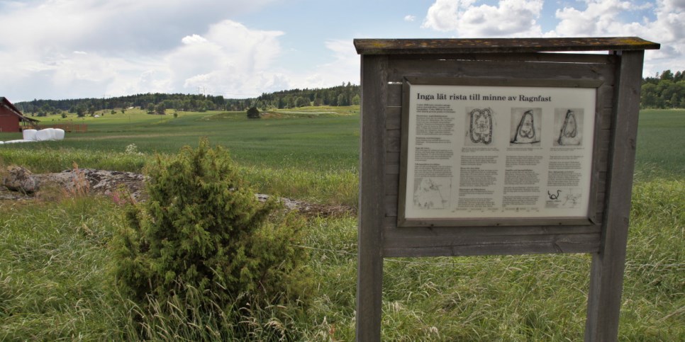 Grönt gräs och träd långt i bakgrunden, på höger sida en informationstavla om när Inga lät rista till minne av Ragnfast. 