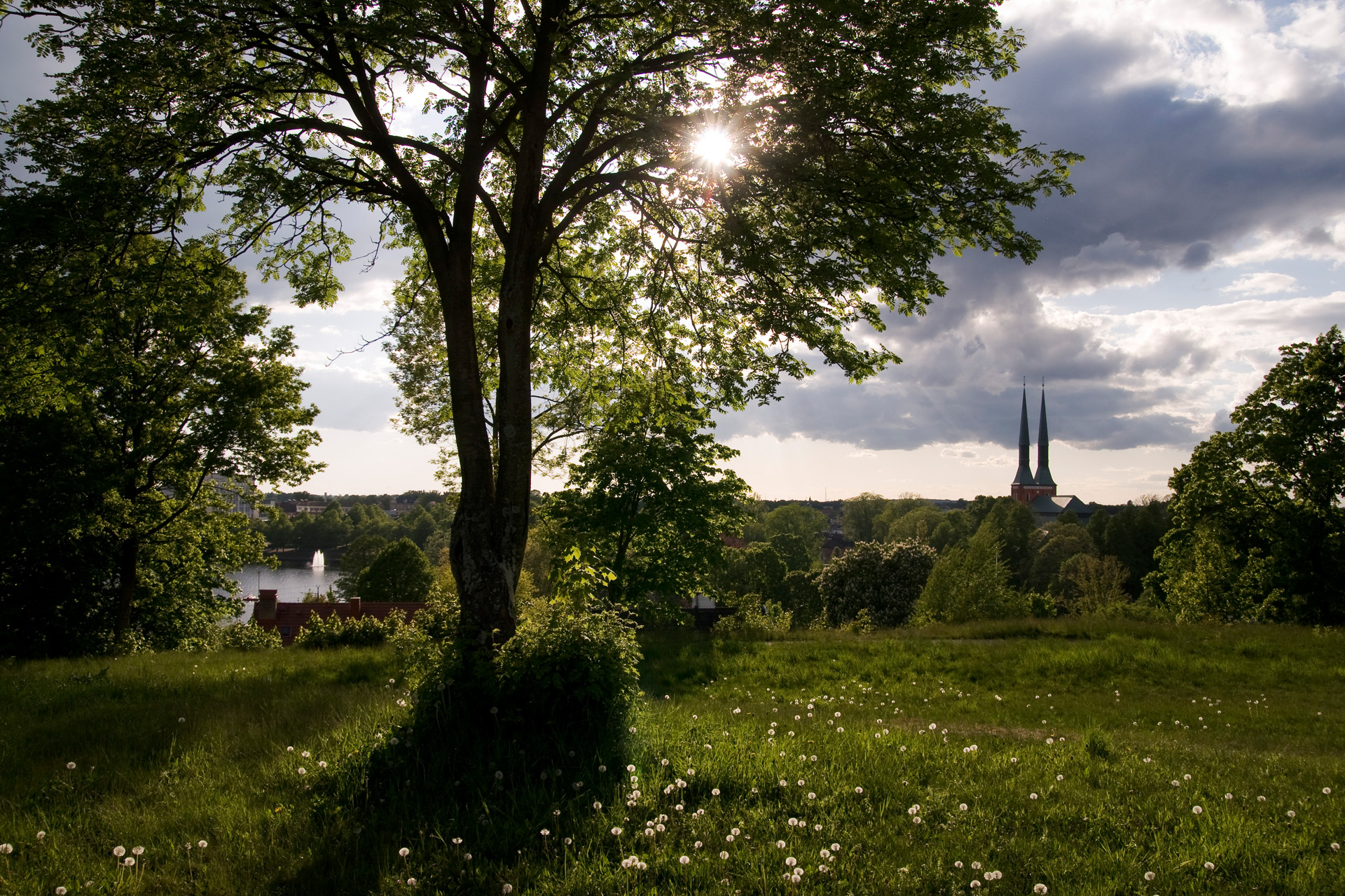 Naturbild där domkyrkans spiror skymtar över träden.