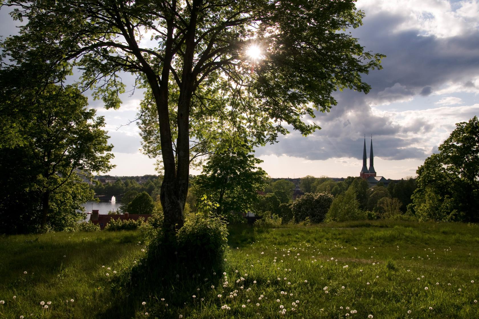 Naturbild där domkyrkans spiror skymtar över trädtopparna..