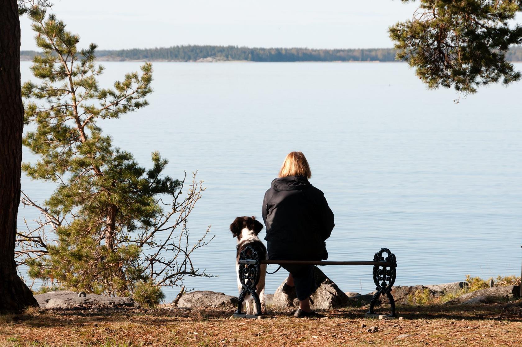 kvinna på bänk blickar ut över havet. Hon har en hund på sin vänstra sida.