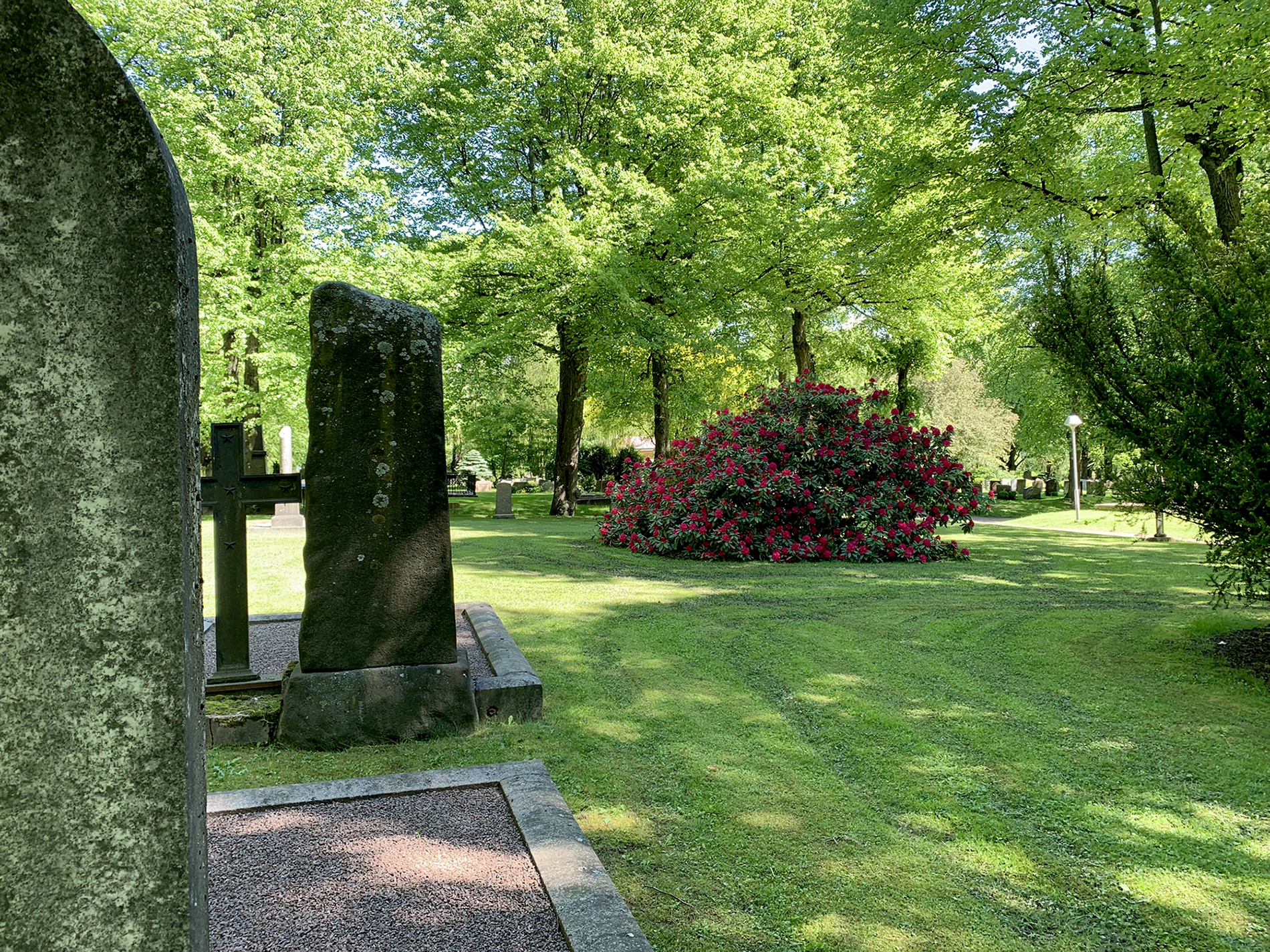 Stampens kyrkogård i sommargrönska