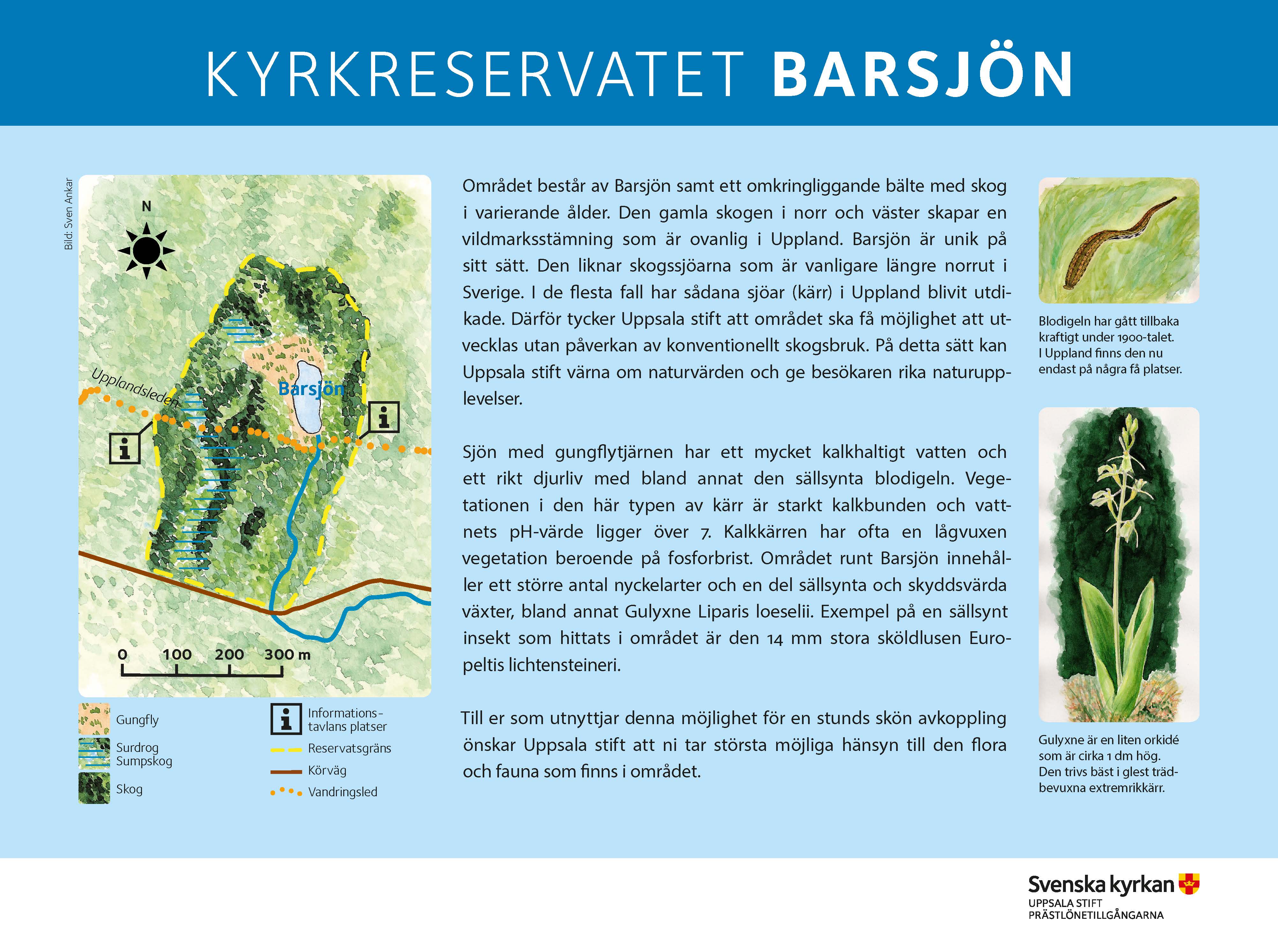 Kyrkreservat Barsjön