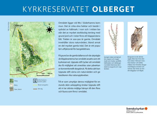 Kyrkreservat Olberget