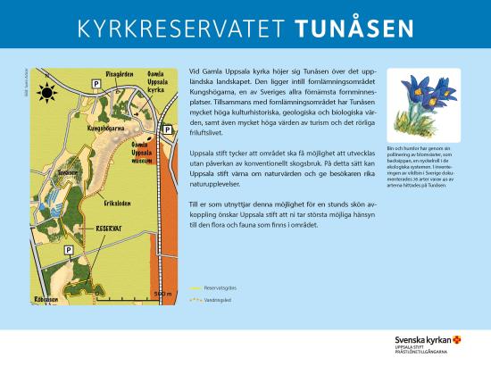 Kyrkreservat Tunåsen