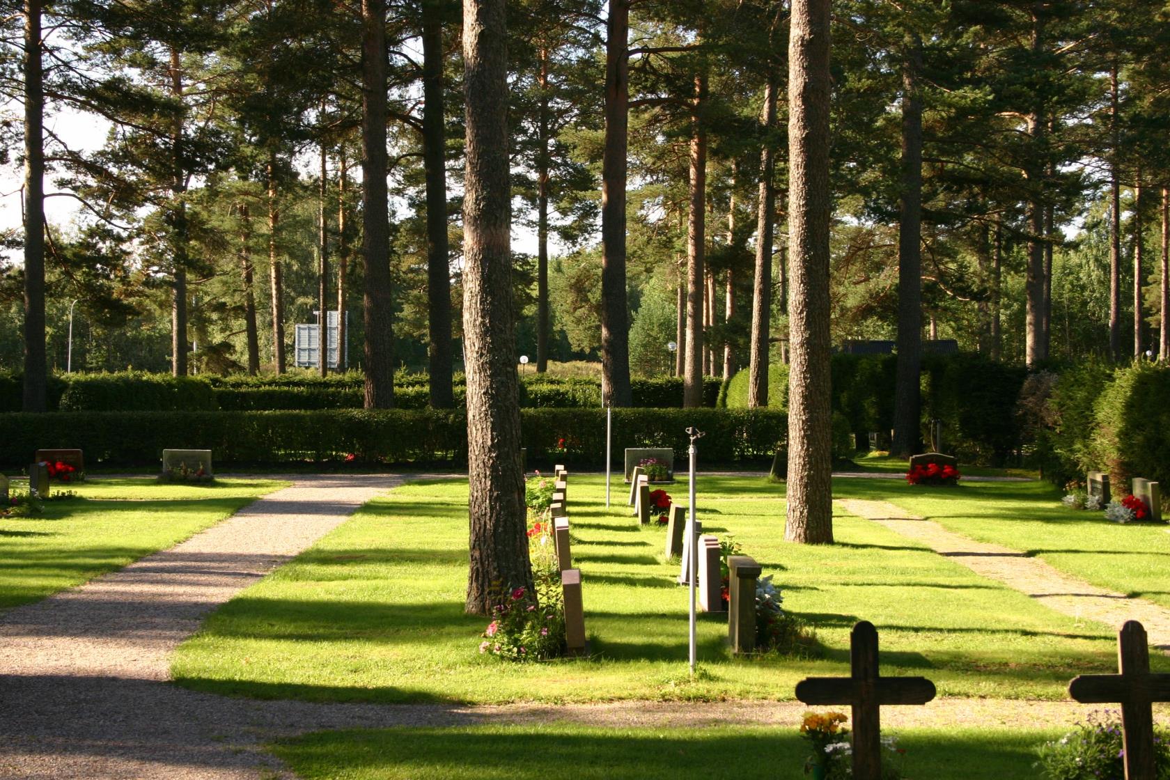 Gravstenar på kyrkogård där man ser blommor och stora tallar.