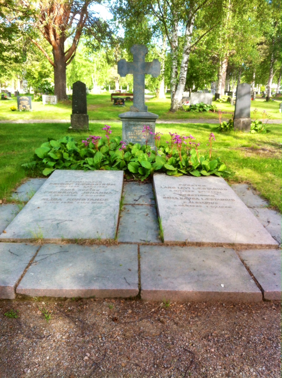 Laestadius grav på Pajala kyrkogård