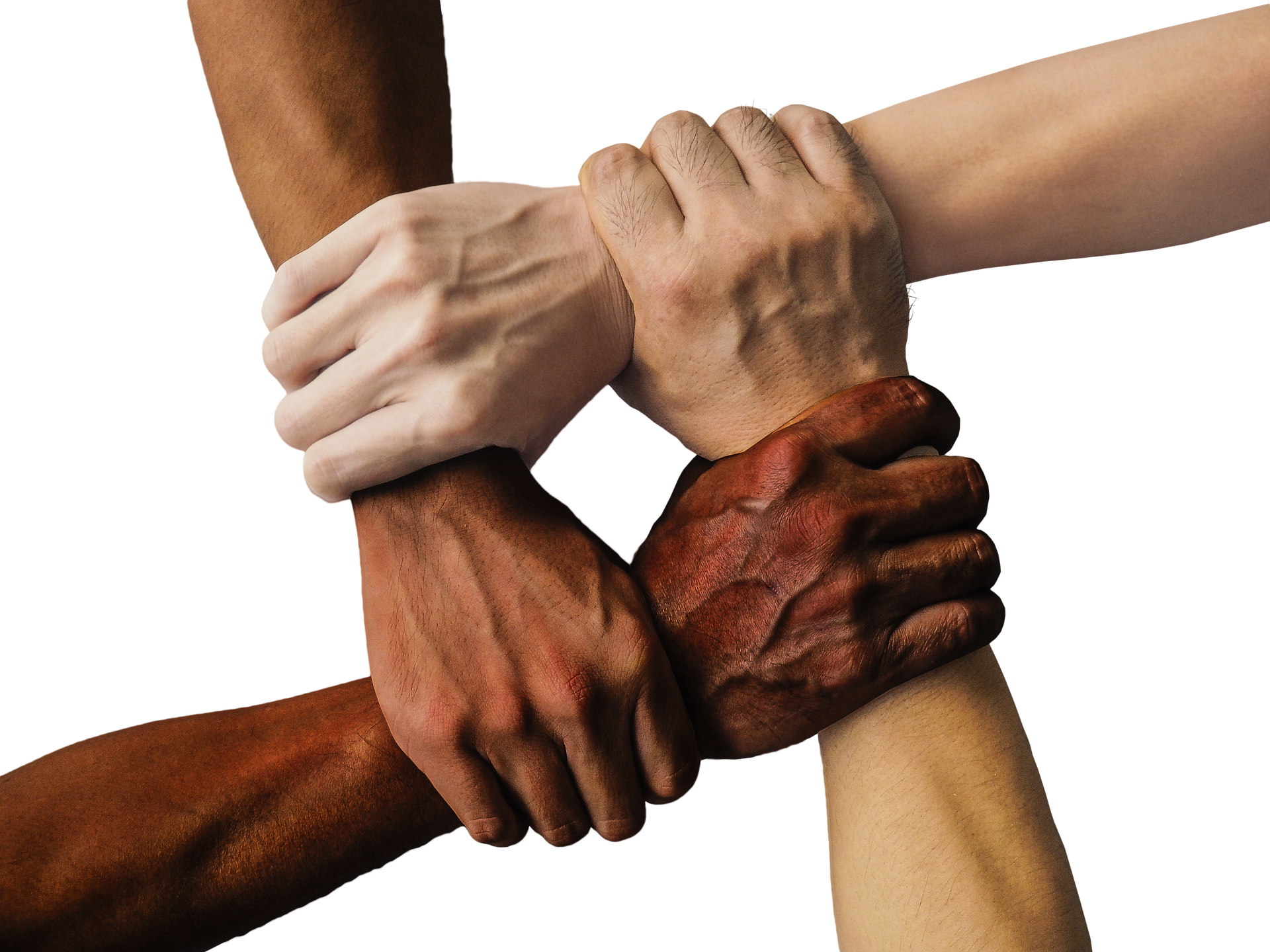 Fyra händer med olika hudfärger håller i varandra.
