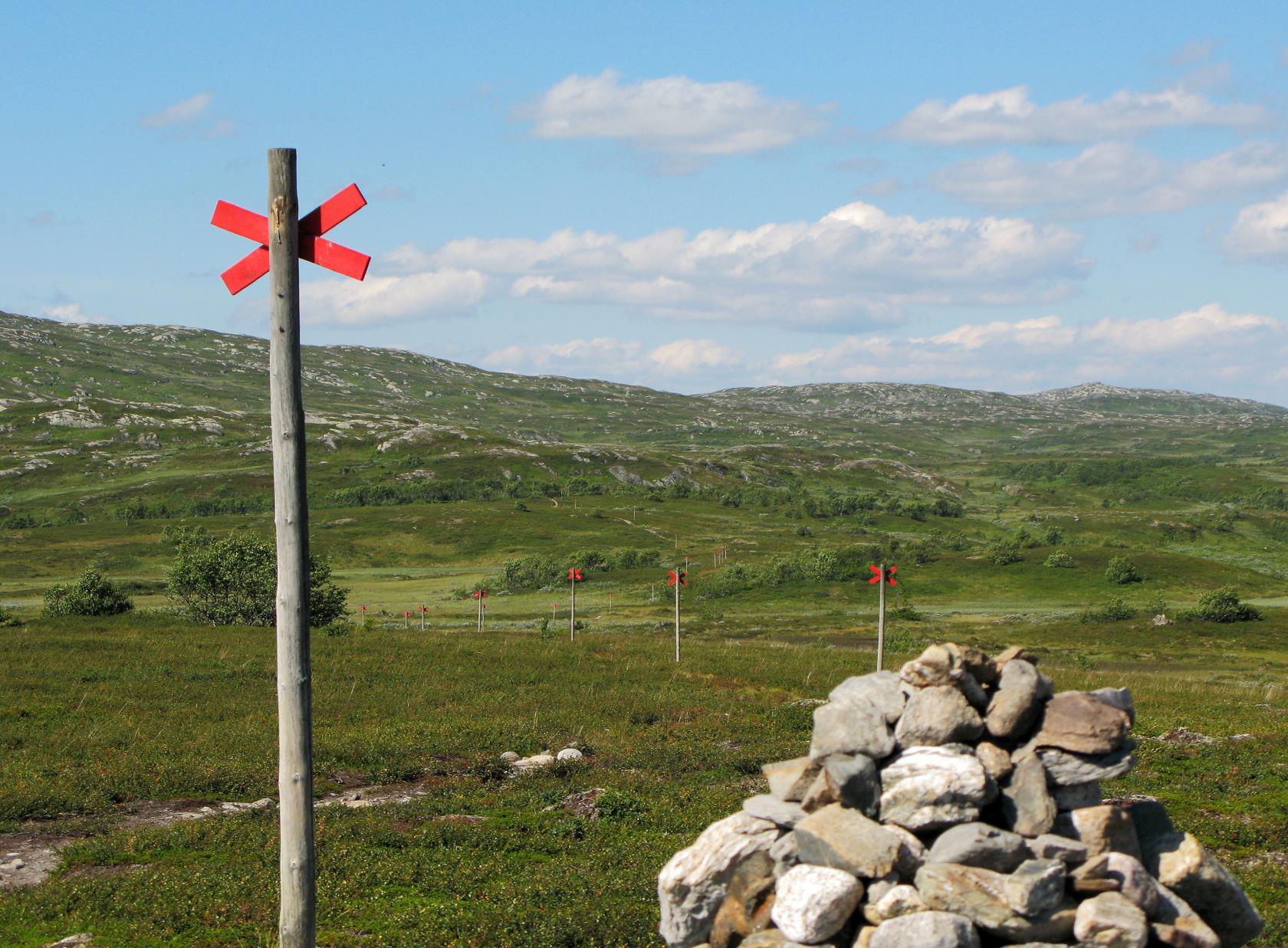 En vandringsled på fjället.